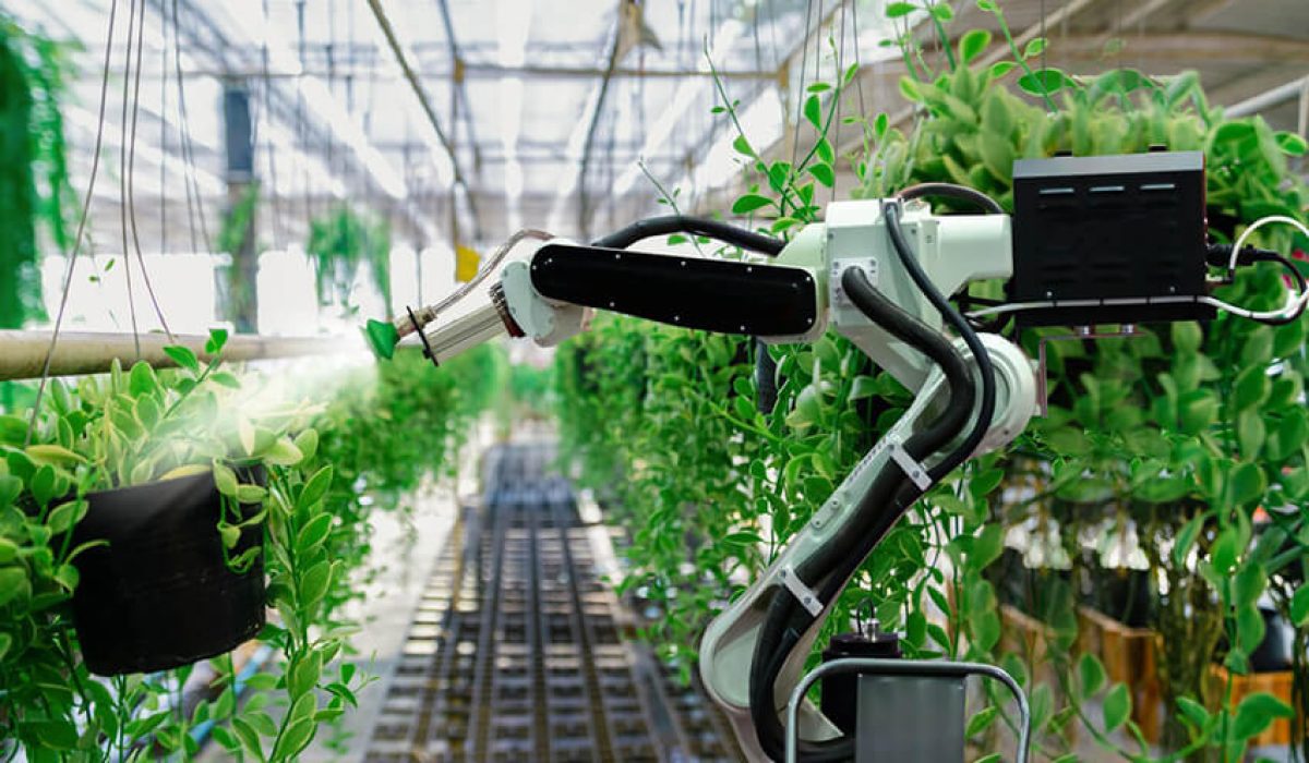 Agriculture
